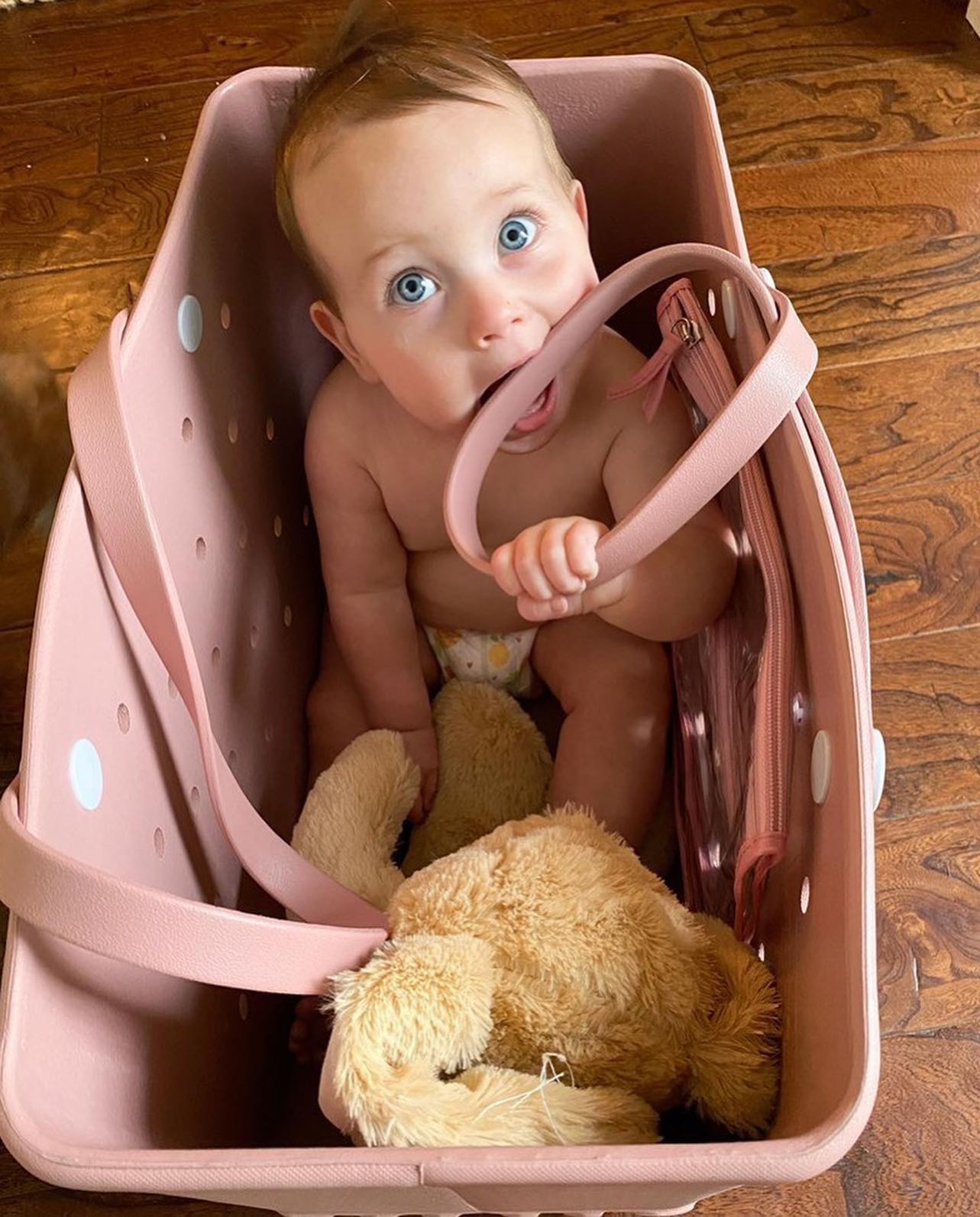 リジッド・ビーチバッグ - カラフルなデザインと大容量