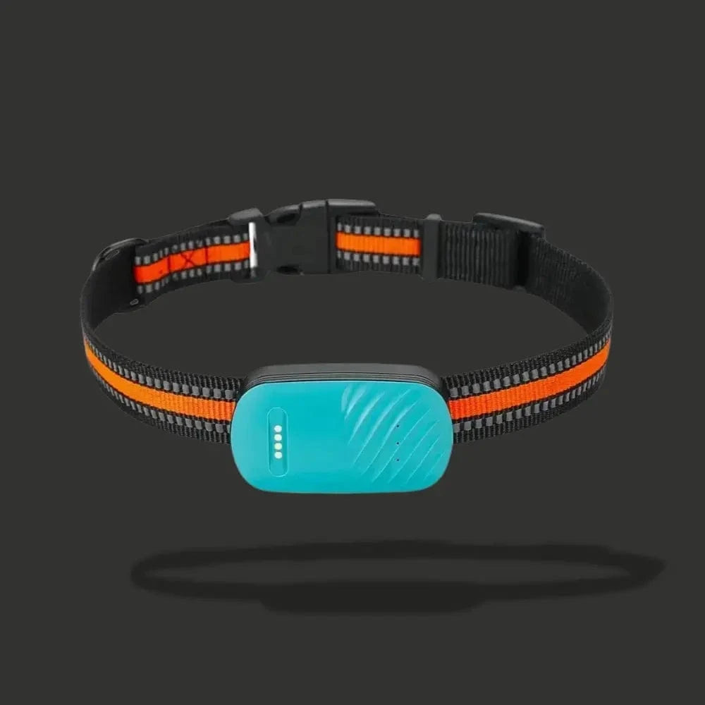 GPS sledovací obojek pro kočky – lokalizace a každodenní pohodlí