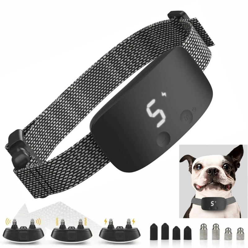 Collier Anti-Aboiement Pour Chien – Rechargeable Et Étanche