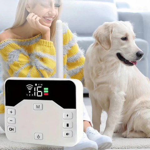 Trådløst gjerde med dressurkrage – Sikkerhet og opplæring for hunder