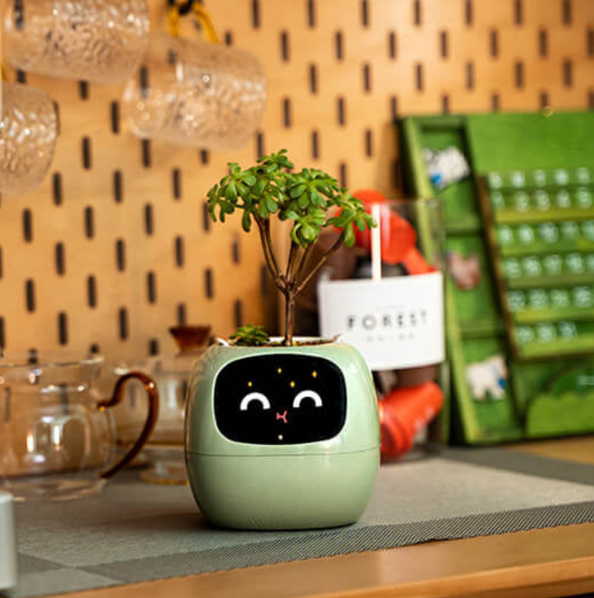 إيموجي وعاء الزهور – ديكور أصلي وممتع