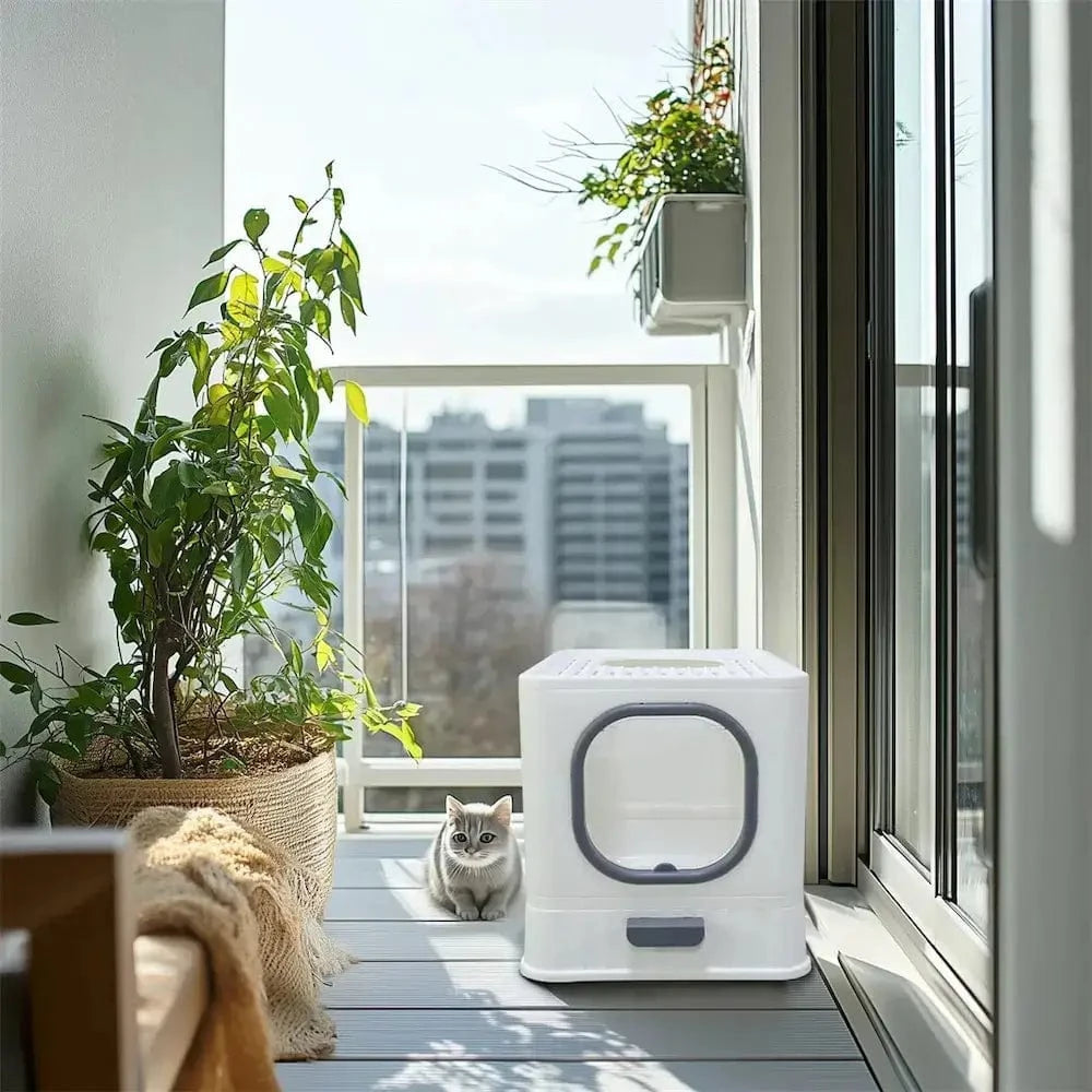 Litière Pour Chat Anti-Odeur – Propreté Et Confort Assurés