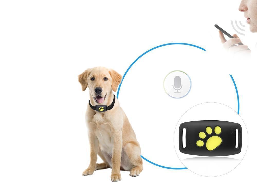 Colar GPS Para Gato Rastreio Em Tempo Real – Segurança E Tranquilidade
