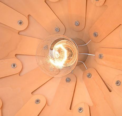 Luminaire Suspendu Sculptural – Design Inspiré De La Nature