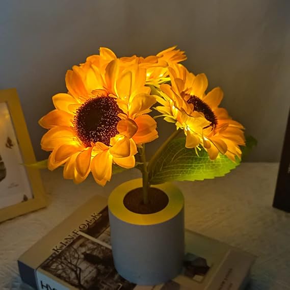 Lampe De Table Led Rechargeable USB — vue 9