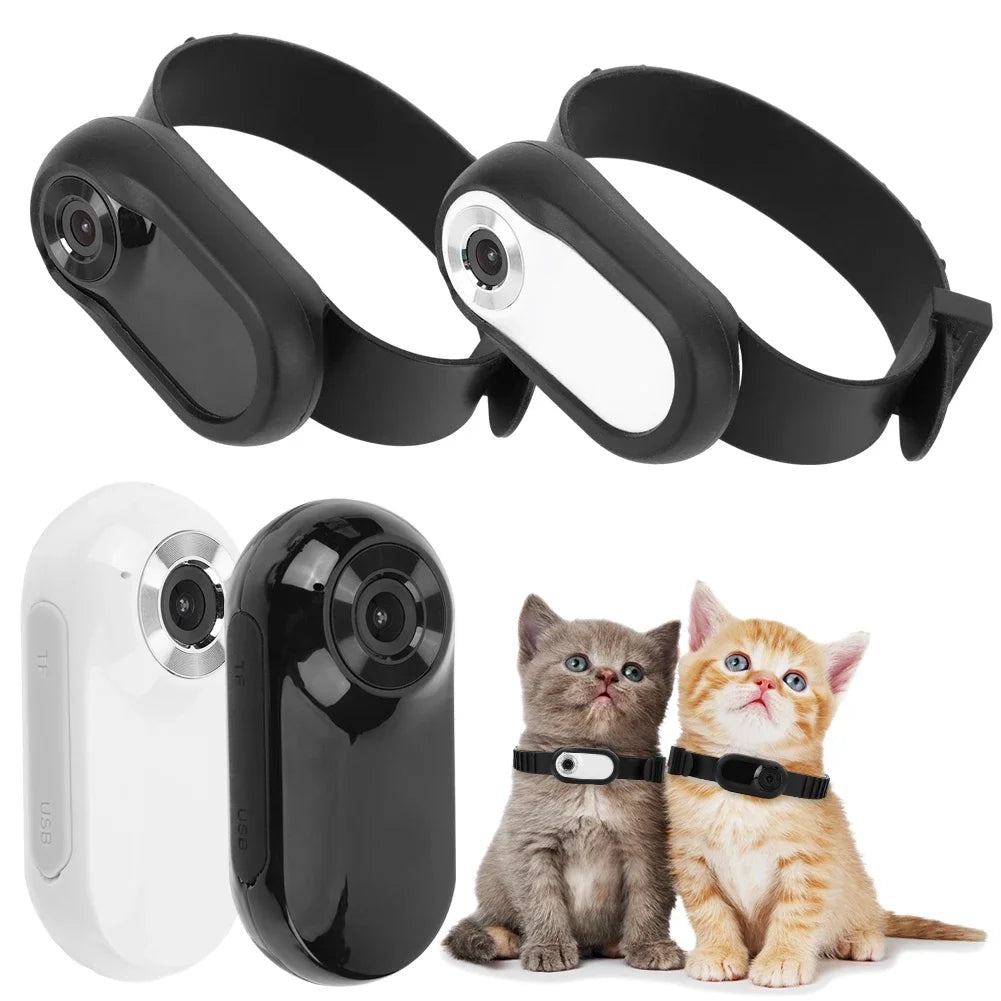 Minikamerapanta koirille ja kissoille - Immersive Vision & HD