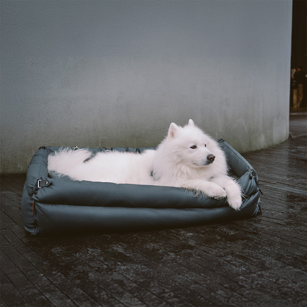 כסא רכב לכלב – נוחות והגנה 