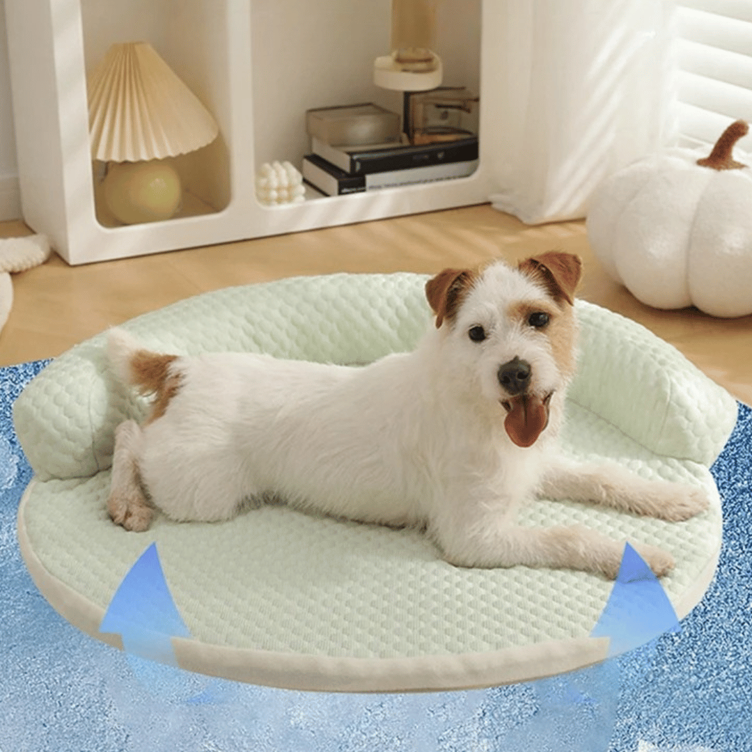 Tapis Rafraîchissant Rond –  Avec Zone De Repos Surélevée