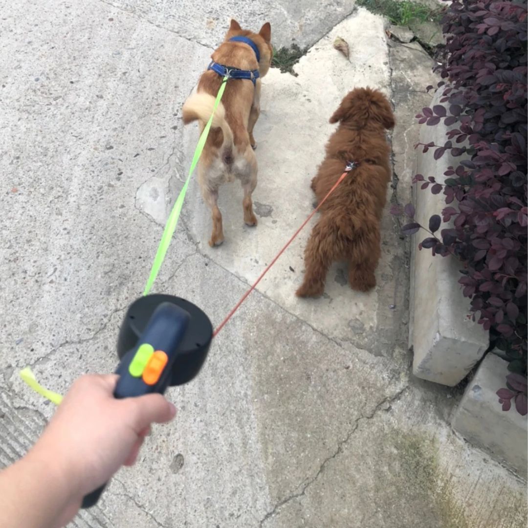 Skládací vodítko pro psy – S LED lampou a dávkovačem sáčků 