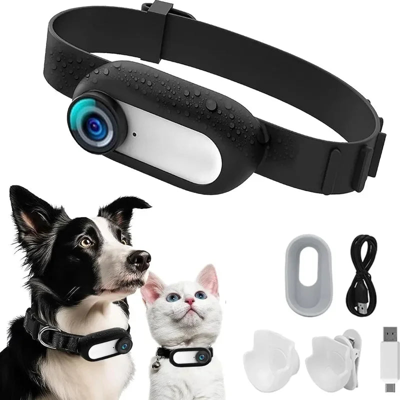 Minikamerapanta koirille ja kissoille - Immersive Vision & HD