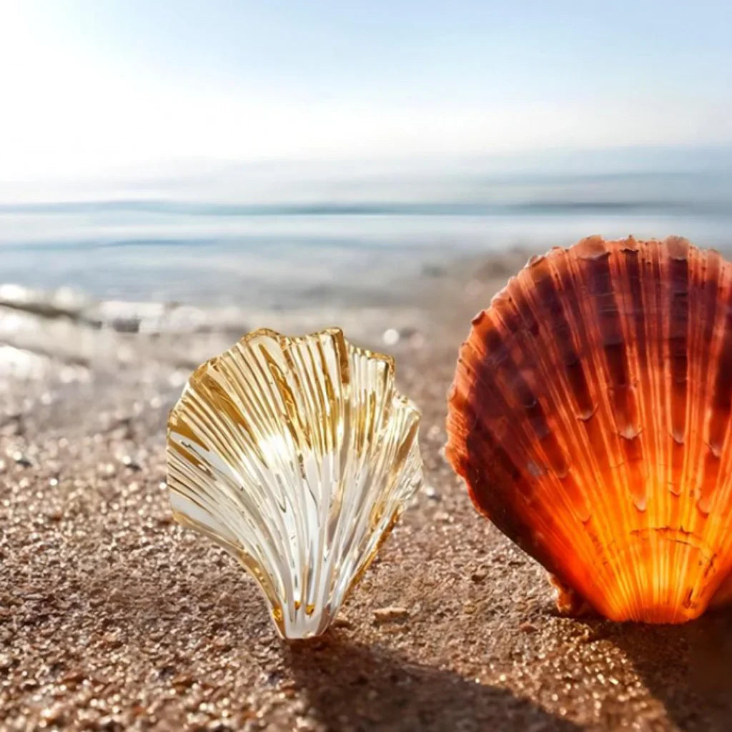 Απλίκα Τοίχου Κοχύλι – Κομψός Και Ναυτικός Φωτισμός 