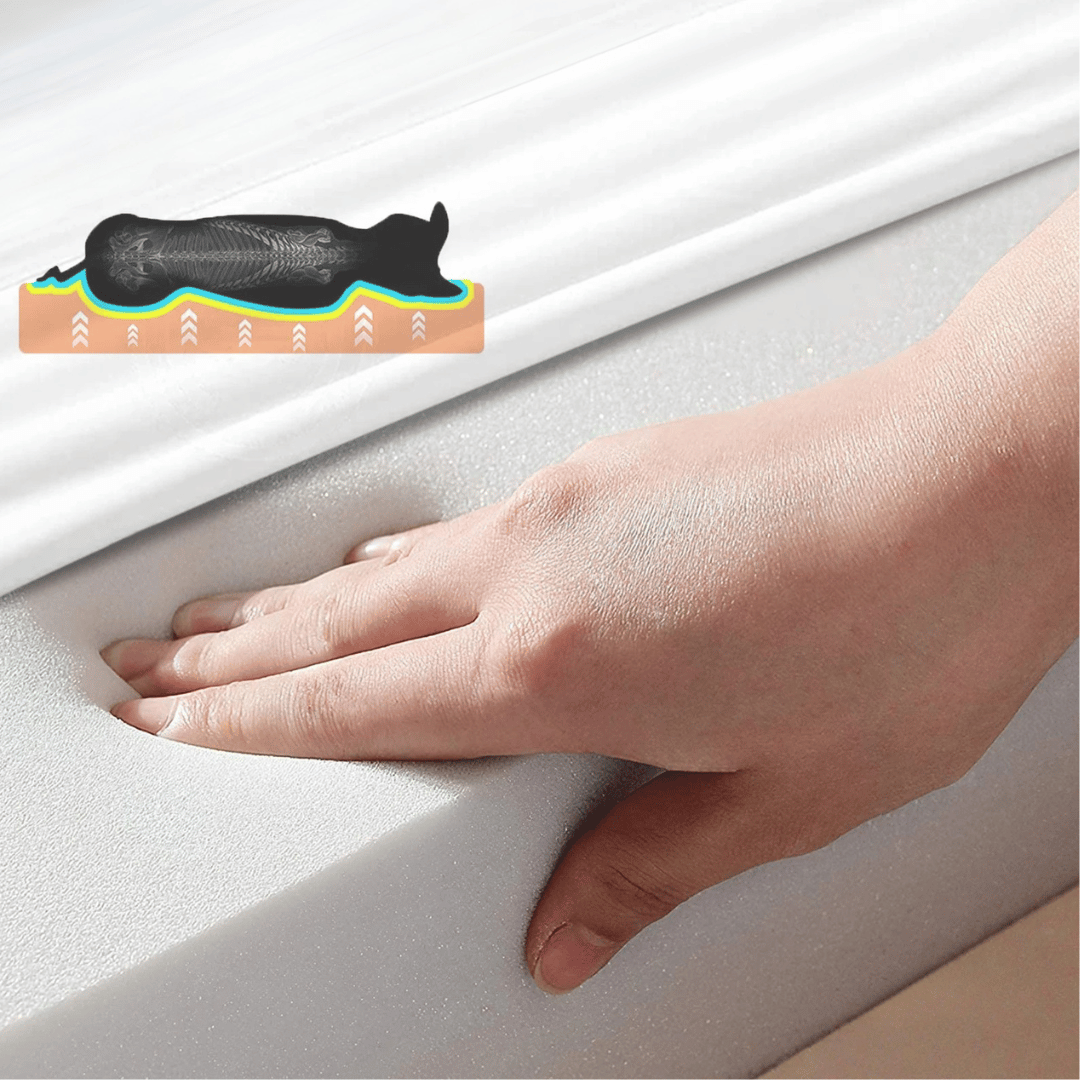 Wygodne Łóżko Dla Psa – Idealne Do Odpoczynku I Regeneracji 