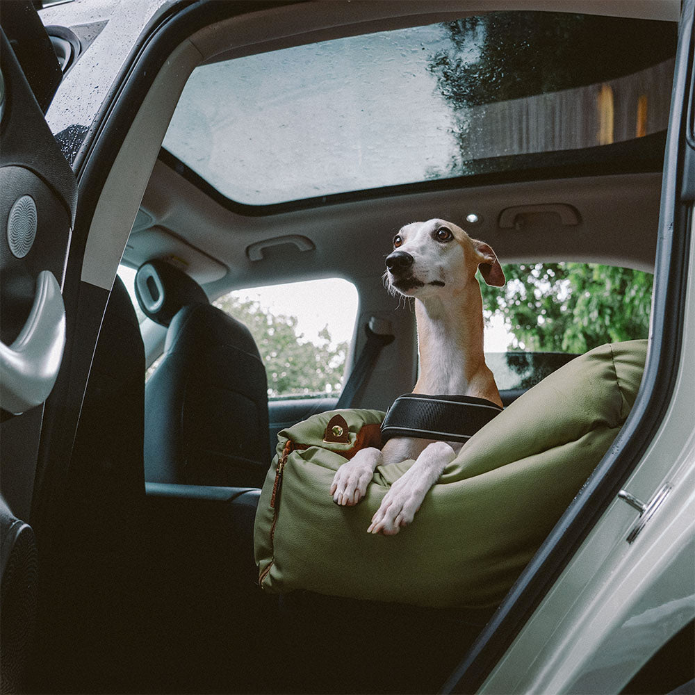 כסא רכב לכלב – נוחות והגנה 