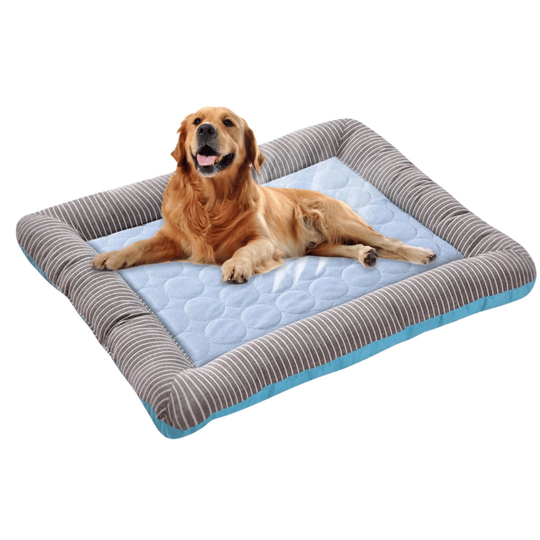 Hűsítő Párna Kutyáknak – Frissesség és Kényelem Nyáron 