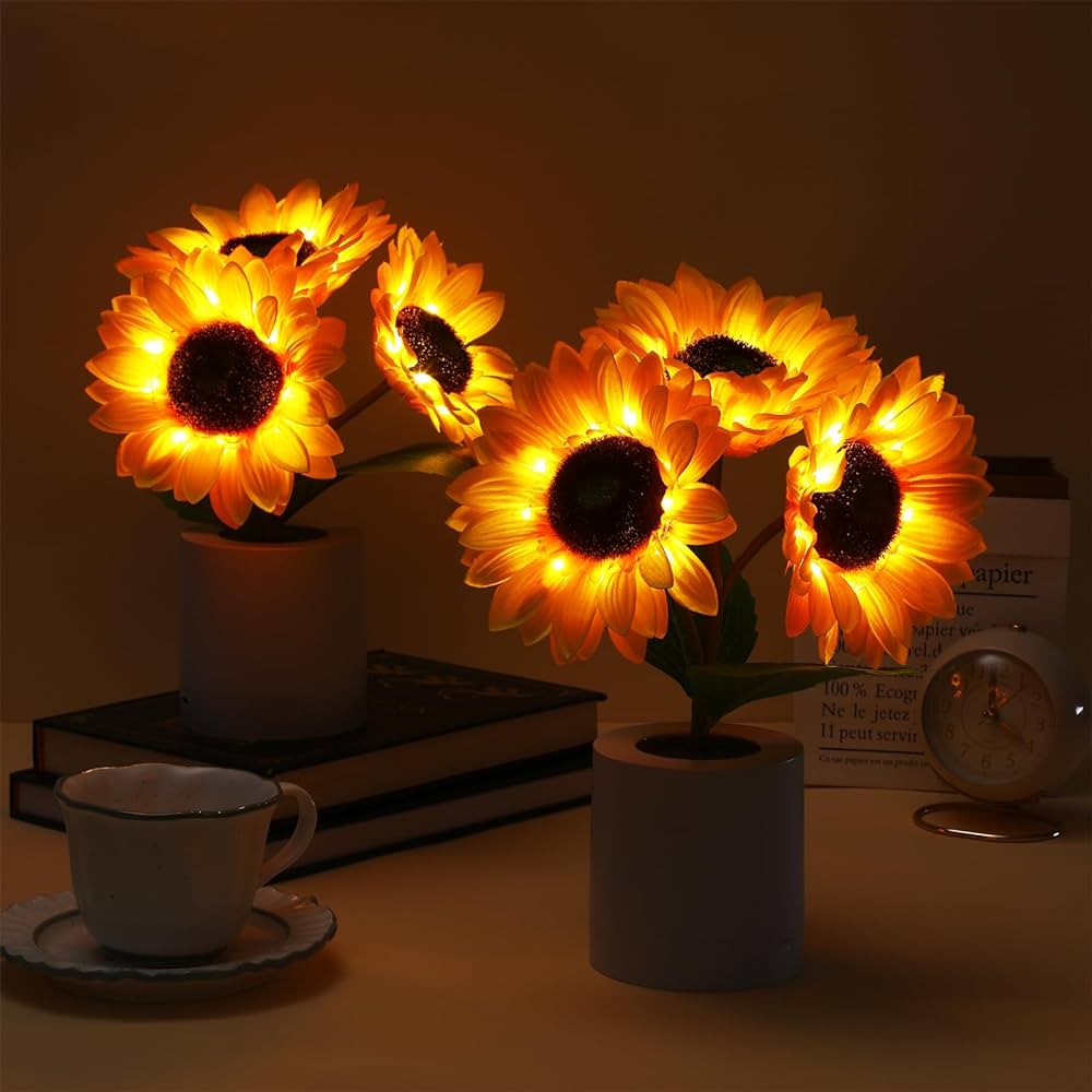 Lampada da Tavolo LED Ricaricabile USB – Illuminazione Originale ed Elegante 