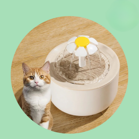 Vannfontene for katt — Kontinuerlig hydrering og alltid friskt vann 