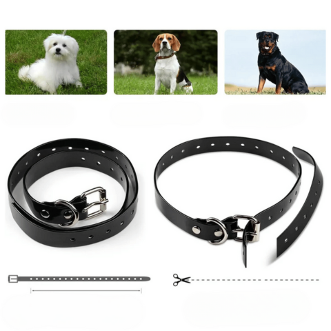 リモートコントロールトレーニングカラー – 着用距離800m、防水で充電可能 