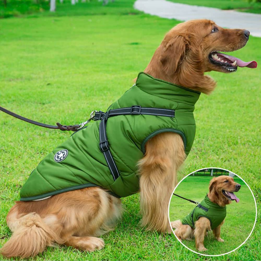 Casaco Impermeável para Cão - Proteção & Estilo 