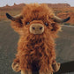 Cow plush from Scottish Highlands