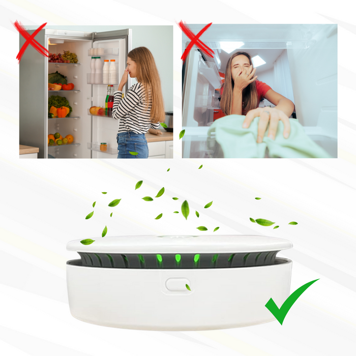 Bærbar ozongenerator – Effektiv og nem at transportere 