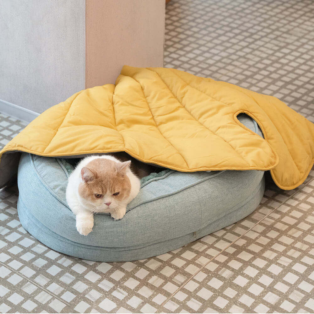 Cama em Forma de Donut para Cão – Conforto e Suavidade 