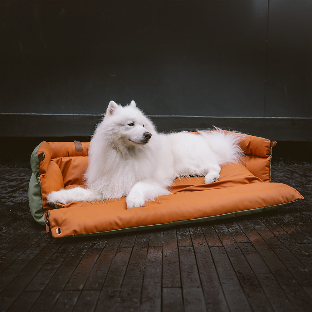 כסא רכב לכלב – נוחות והגנה 