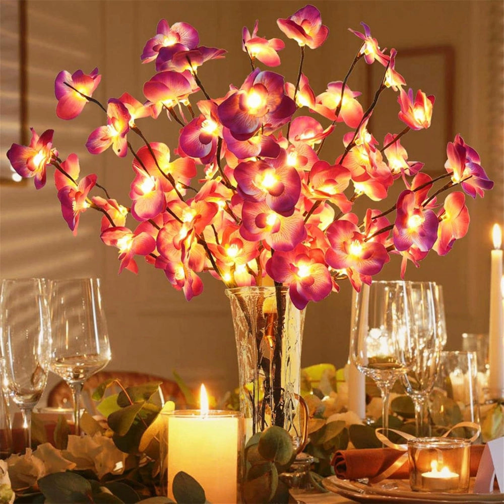 Décoration Lumineuse LED — vue 11