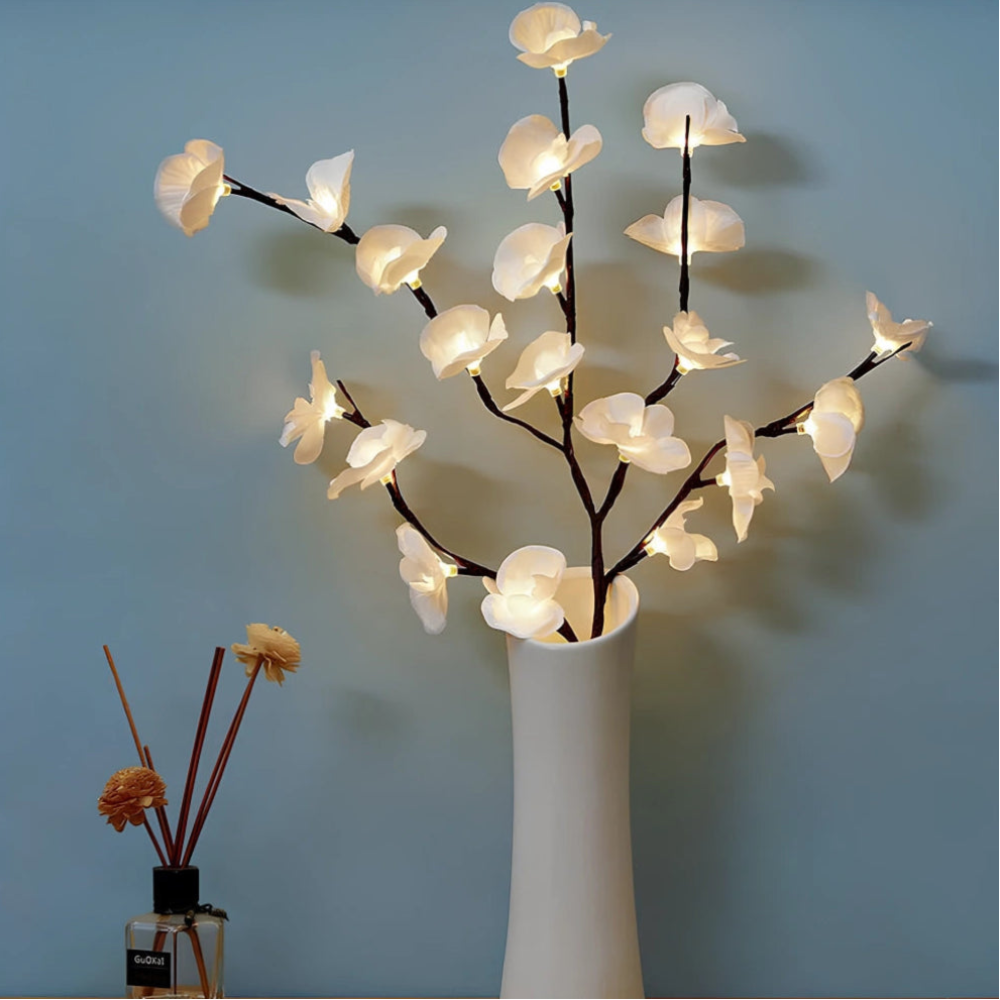 Décoration Lumineuse LED — vue 13