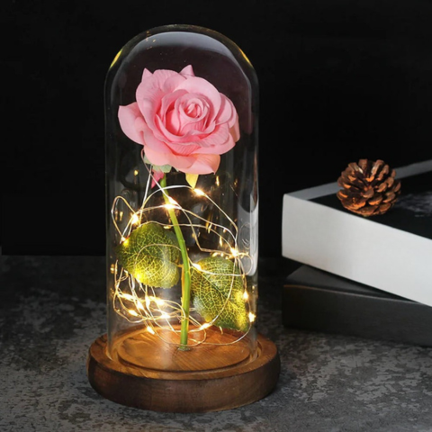 Fleur Éternelle Sous Cloche LED — vue 2