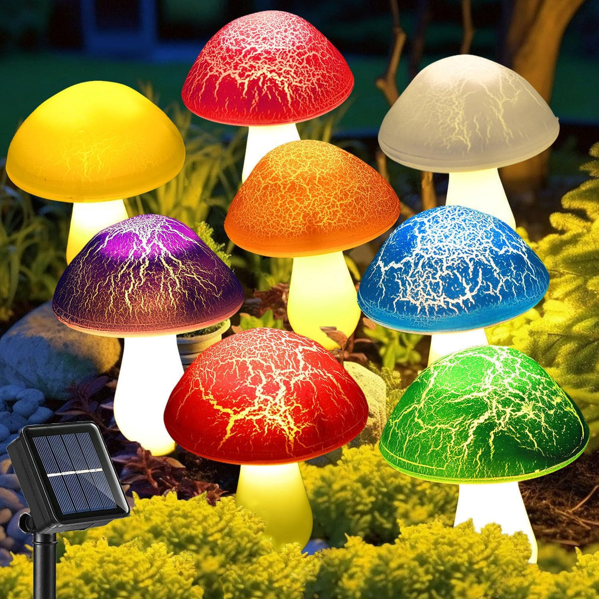 Kit De Lumières Solaires De Jardin