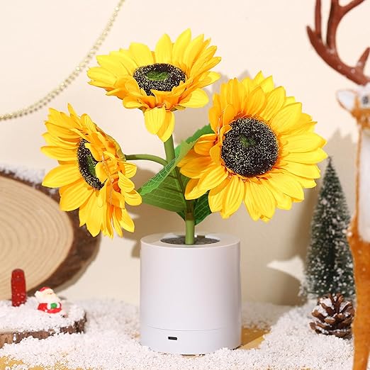 Lampe De Table Led Rechargeable USB — vue 13